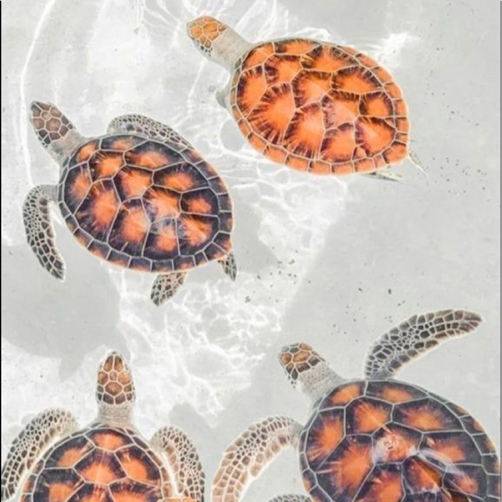 Meet your Posher, Madelyn